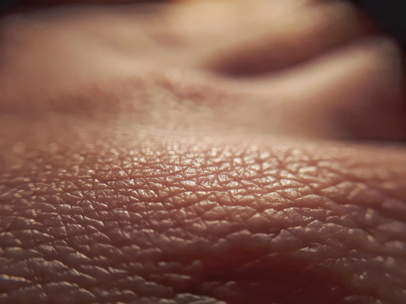 An extreme close-up of skin texture in warm light.