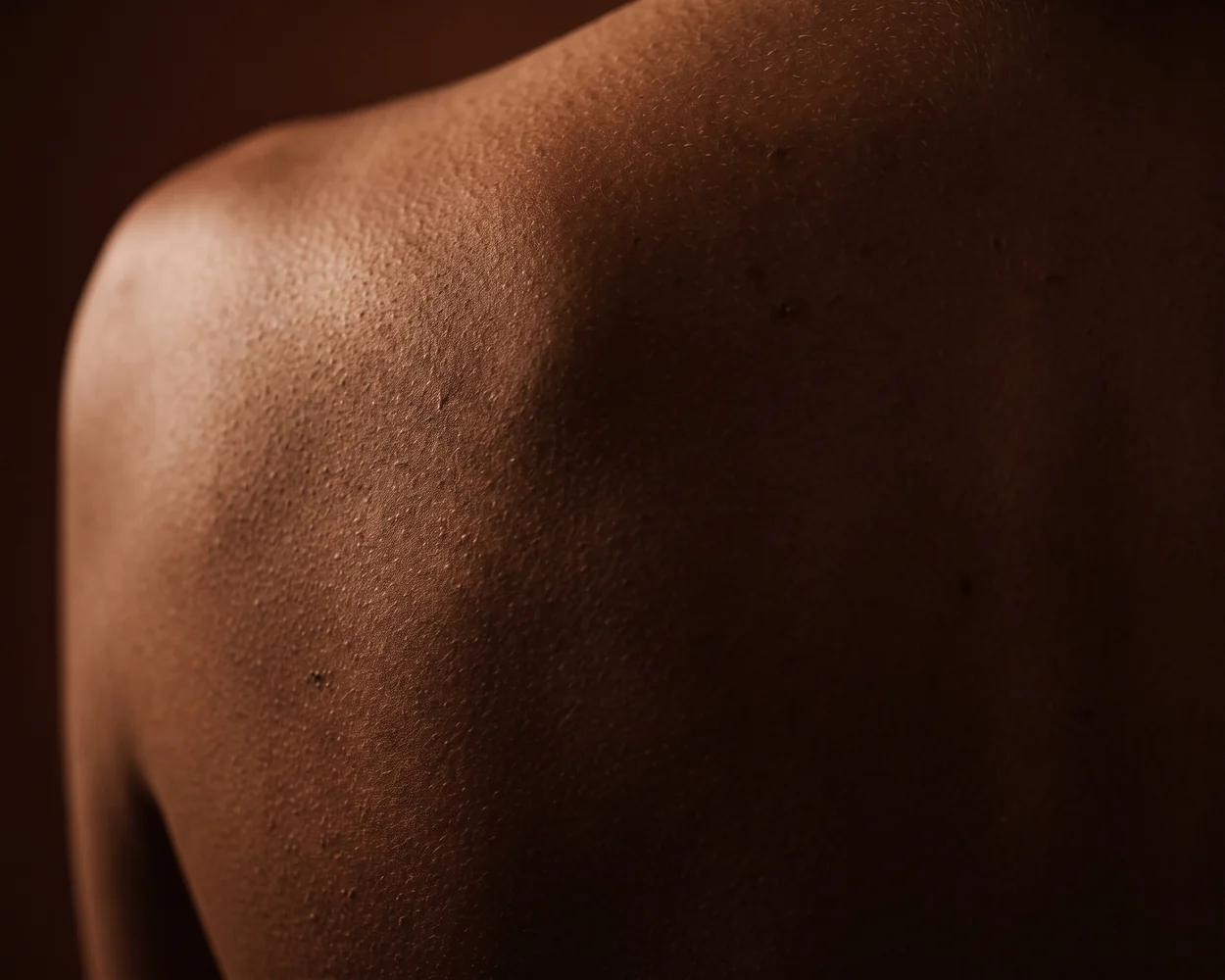 A close view of skin across a shoulder, lit warm against deep shadow.