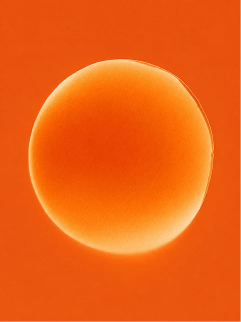 An abstract orange sphere against a deeper orange ground.
