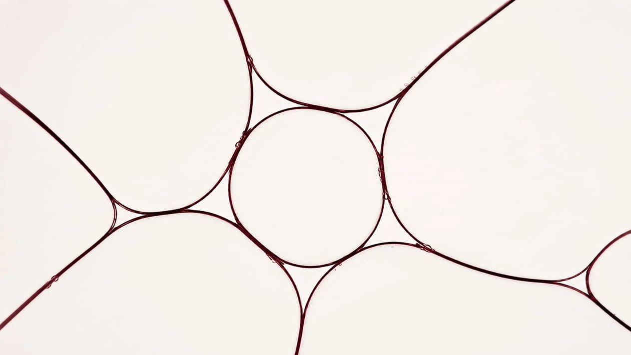 An abstract macro of dark red cell-like forms on a pale ground.