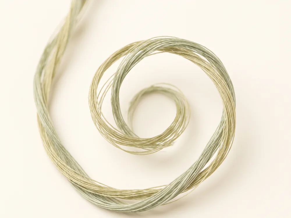 An abstract macro study of pale olive filaments coiling into a spiral.