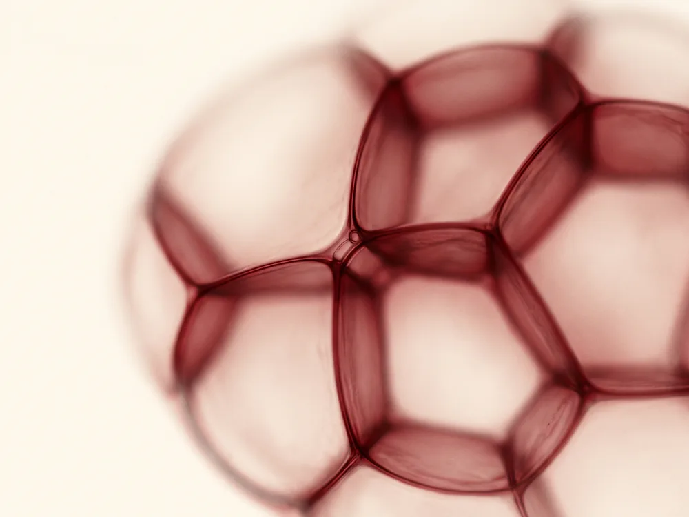 An abstract macro study of translucent oxblood membranes meeting.